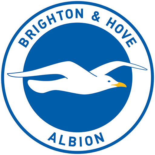 Brighton and Hove Albion badge