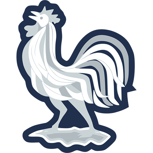 France badge