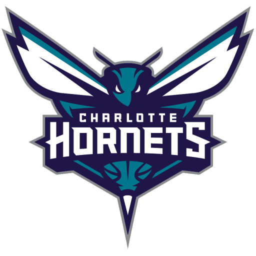 Charlotte Hornets badge