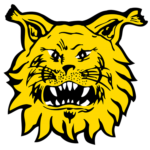 Ilves badge