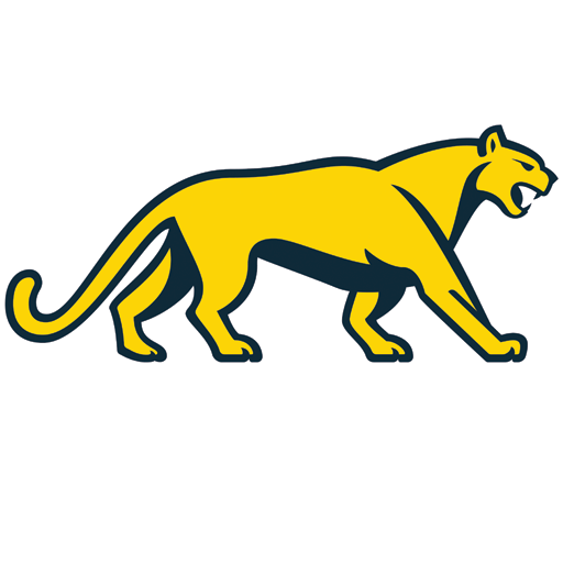 Argentina Rugby badge